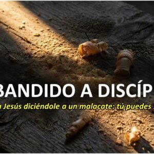 De_Bandido_a_Discípulo Sígueme – DE BANDIDO A DISCÍPULO